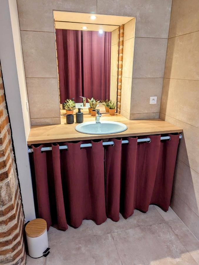 Ferienwohnung Douceur, Elegance Au Coeur D'Albi Exterior foto